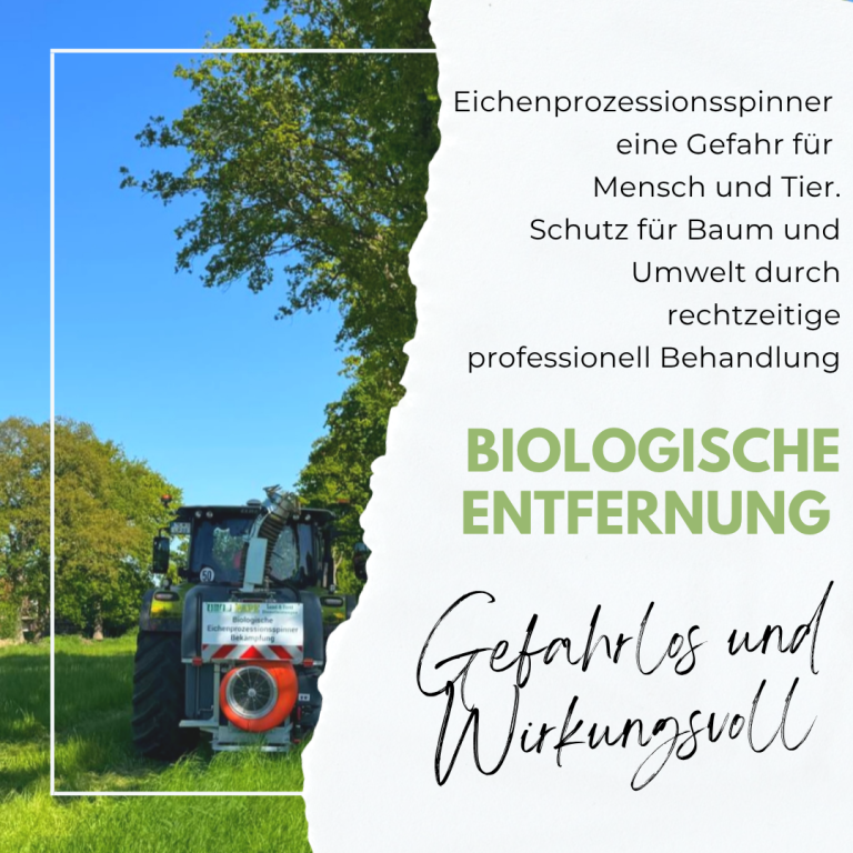 Eichenprozessionsspinner Hinweis auf biologische Entfernung von Schädlingen.